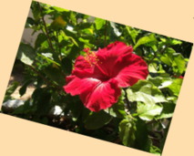 Background example