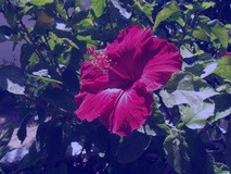 Blend example