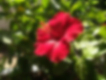 Another Blur example