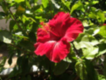 Blur example