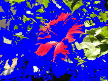 Floodfill example