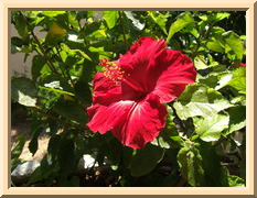 Frame example