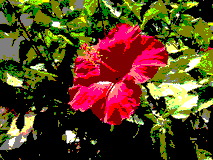 Posterize example