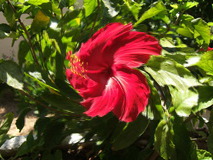 Swirl example