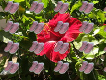 Tile example