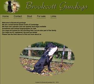 Brookcottgundogs website